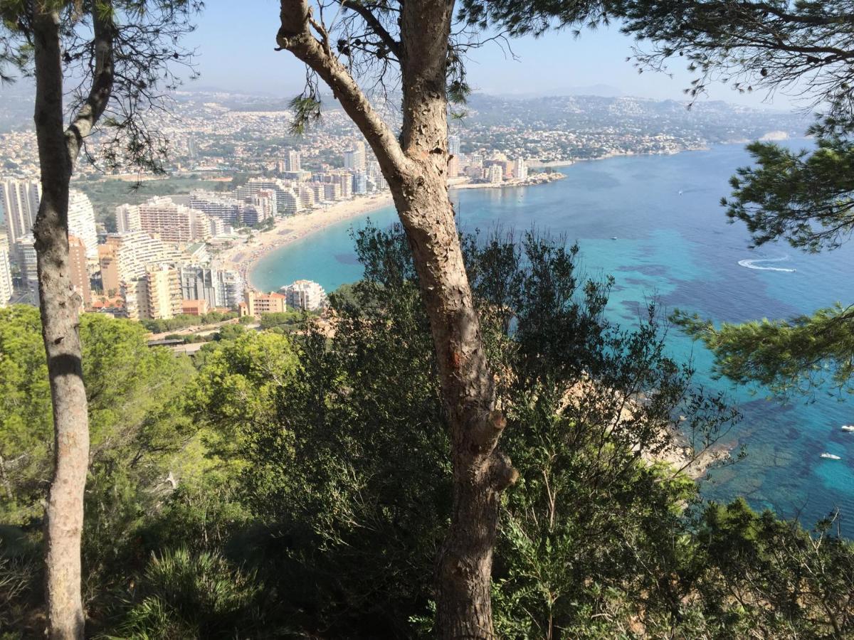 Appartamento Mesana 102 / Penthouse Calpe Esterno foto